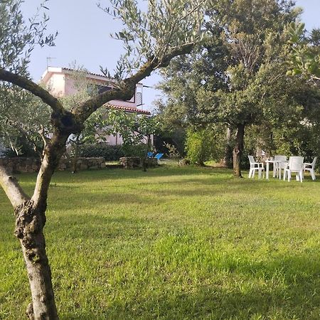Appartamento In Villa Bruno Olbia Luaran gambar